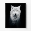Loup Arctique
